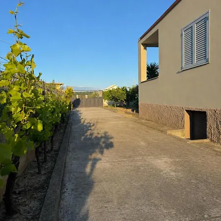 Tatil Evi Garden House - *