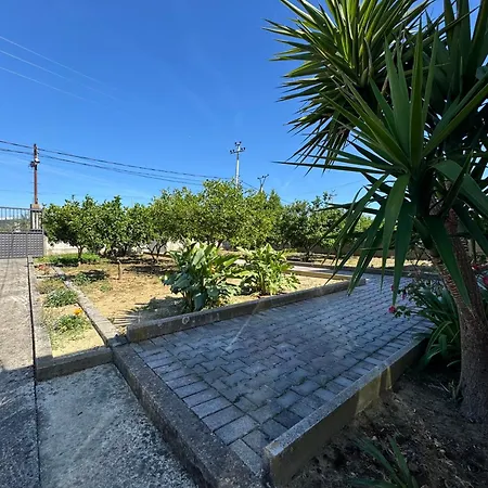 Garden House - * Hamallaj