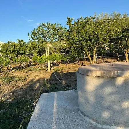 Garden House - Tatil Evi